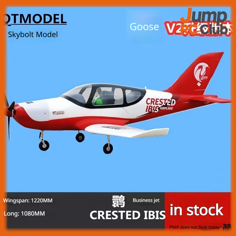 Rc Hobby Experts - QT Model Rc Remote Control Airplane